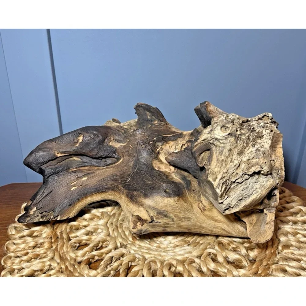 Natural Driftwood Sculpture 12